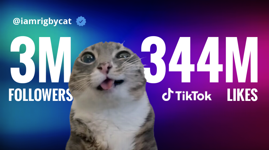 @iamrigbycat · 3M TikTok followers