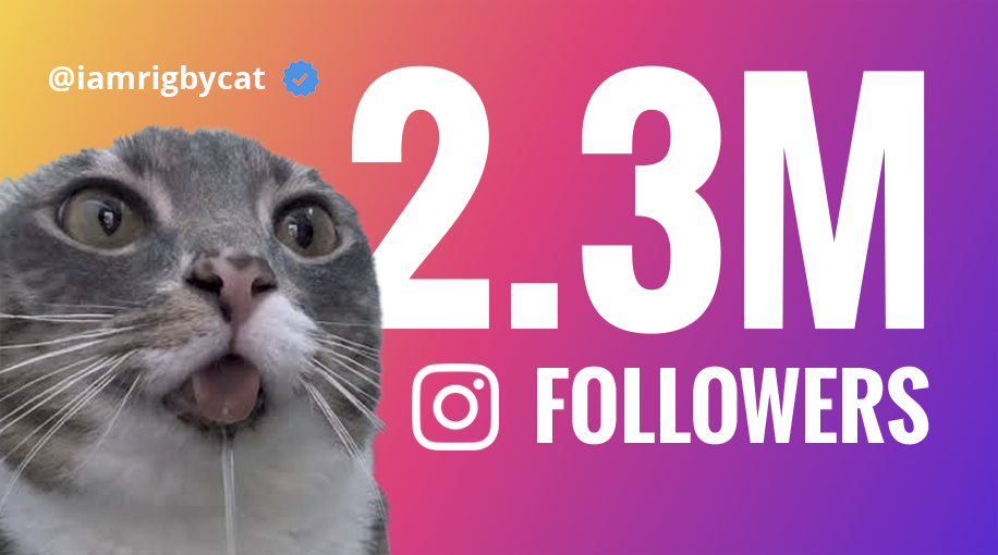 @iamrigbycat · 2.3M Instagram followers